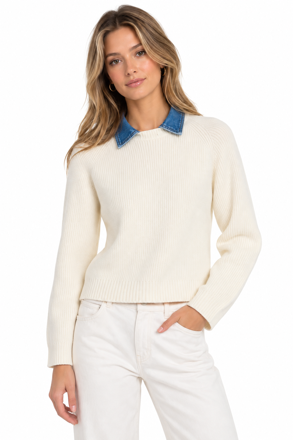 Central Park West Denim Collar Sweater